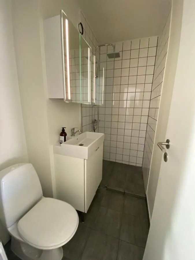 Central Copenhagen Apt With Balcony, Free Parking W Elevator Lejlighed